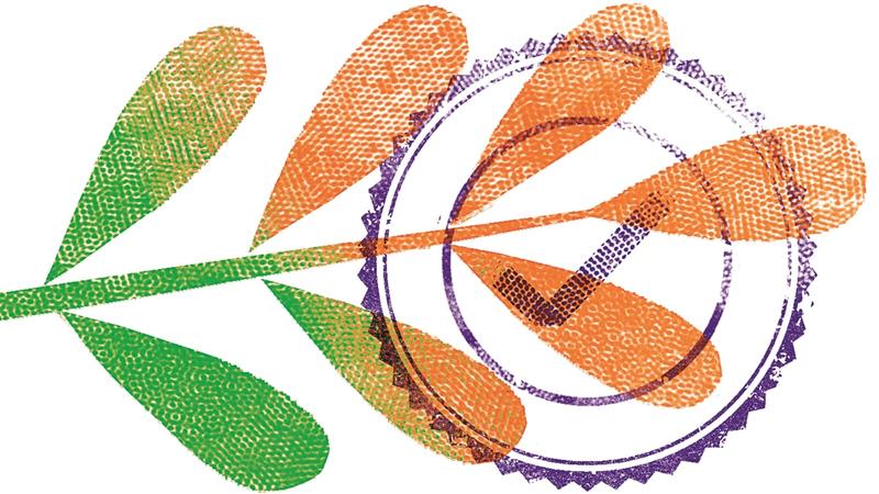 SC ruling on post-facto clearances sets environmental law back by decades