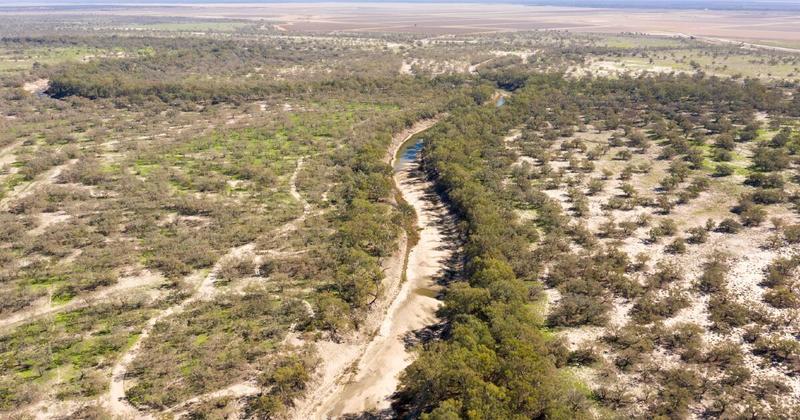 Long-sought environmental law reform is finally here. But will the compromise deal actually protect nature?