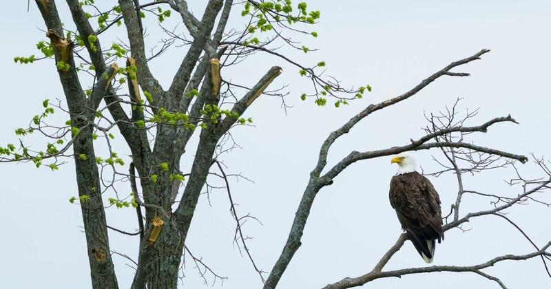 A beautiful sight A beautiful sight