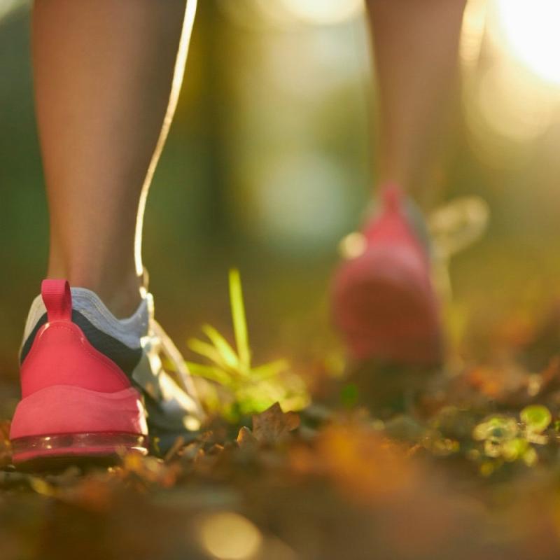 A demonização do impacto