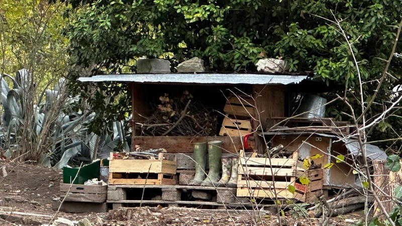 I bambini del bosco e il dovere della tutela: quando politica e giustizia si scontrano