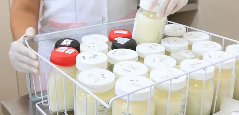 O queijo de leite cru, de leite cozido e o feito com leite pasteurizado