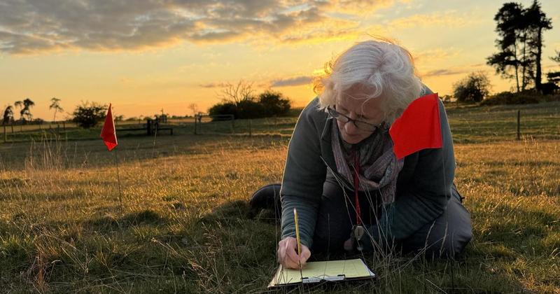 Nature group celebrates a decade safeguarding Breckland's incredibly rare plants Nature group celebrates a decade safeguarding Breckland's incredibly rare plants