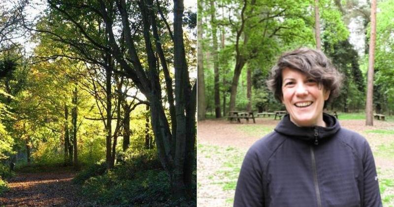 £100k works underway at award-winning woodland £100k works underway at award-winning woodland