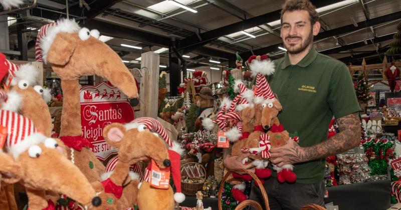 Which garden centre in Norfolk is best for Christmas shopping? Which garden centre in Norfolk is best for Christmas shopping?