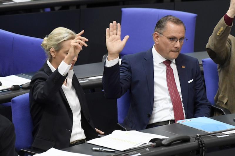 Wie die Deutschen ticken: Tiefer Riss über Frage einer Zusammenarbeit mit der AfD