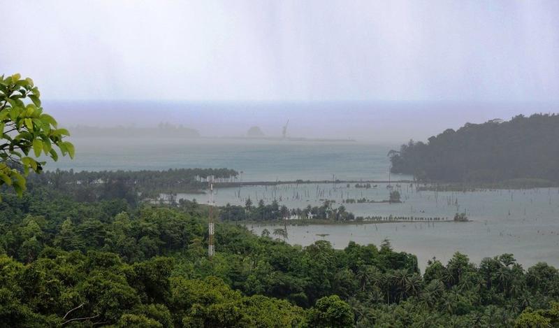 'Won’t Consider Withheld Parts of Report on Revisiting Clearance for Great Nicobar Projects': NGT