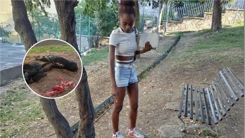 Indagato il poliziotto che uccise il cane a colpi di pistola durante il blitz antidroga