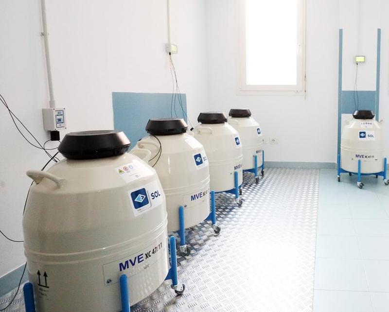 Indagine sugli embrioni a Lagosanto, l’Ausl: «Riorganizzazione equa e dovuta»