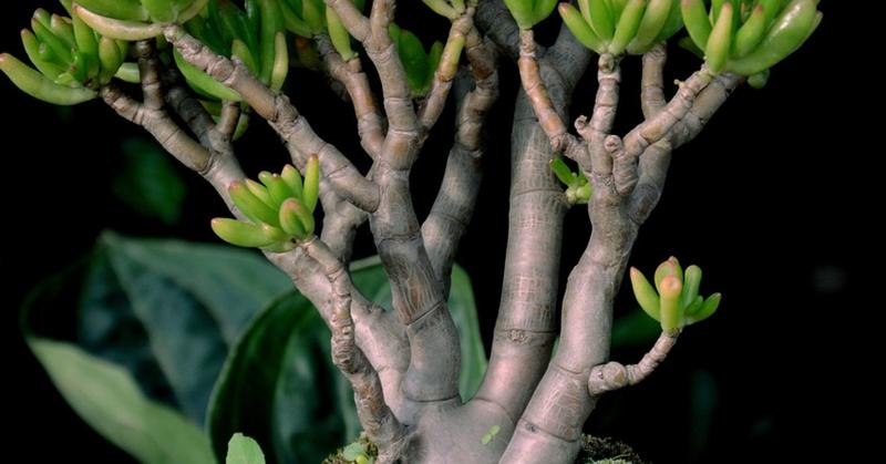 Are You Feeling Unappreciated?