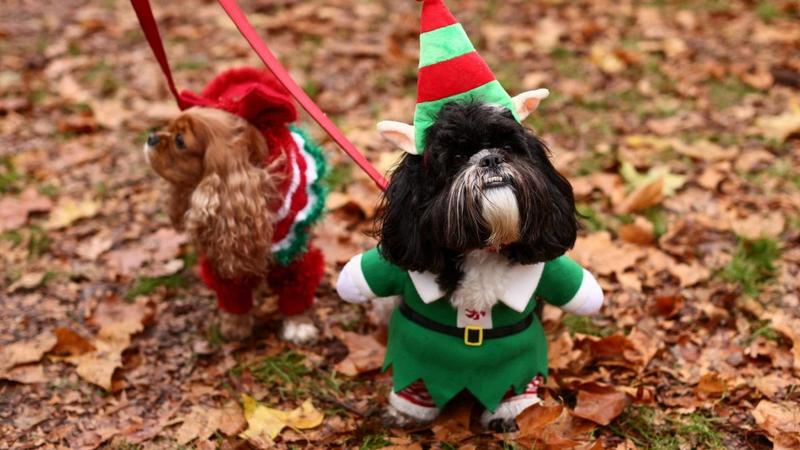 I’m a reformed Christmas grinch – and here’s why you should be too