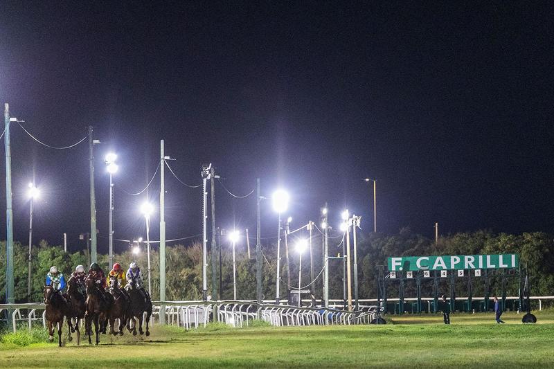 Ippodromo Caprilli di Livorno: slitta a dicembre la sentenza dopo il ricorso di Sistema Cavallo