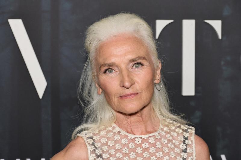 Actress rejects honor from Irish university in protest of Israel research pact