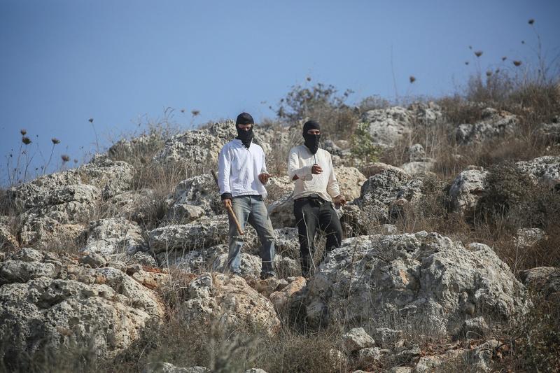 Four foreign activists said wounded by settlers near Jericho, one seriously Four foreign activists said wounded by settlers near Jericho, one seriously