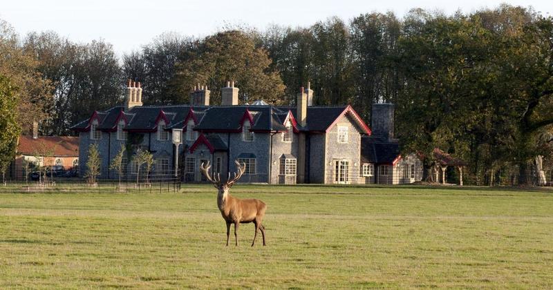 A gourmet escape to the country in Norfolk