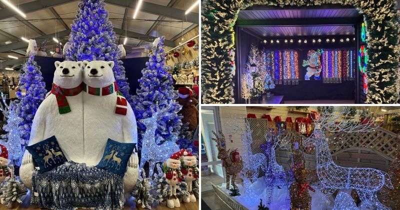 Take a look inside a Norfolk garden centre's new Christmas department