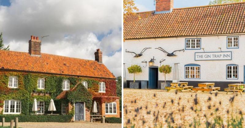 5 of the best dog friendly hotels in Norfolk
