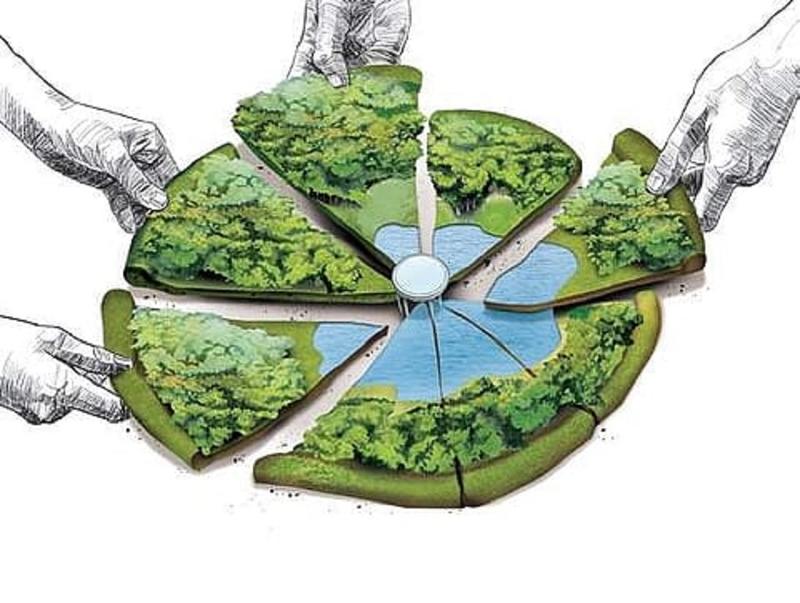 Brokers, Mafia, and Forged Documents: Kashmir’s Land Market Exposed Brokers, Mafia, and Forged Documents: Kashmir’s Land Market Exposed