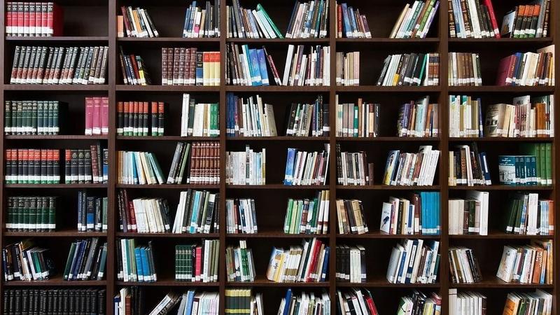 O apanhador e a última trincheira da sinceridade humana