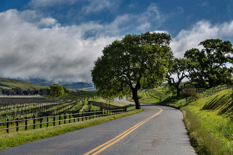 The under-the-radar town on the Central Coast where all the chefs eat