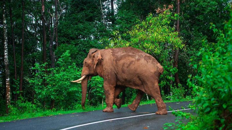 ‘ചെളിയും ചാണകവും മൂത്രവും നിറഞ്ഞ ആ ഓരുവെള്ളമായിരുന്നു 'ആറാം തമ്പുരാന്‍' ആകാനായി ഞങ്ങള്‍ മത്സരിച്ച് കുടിച്ചു തീര്‍ത്തത്!’