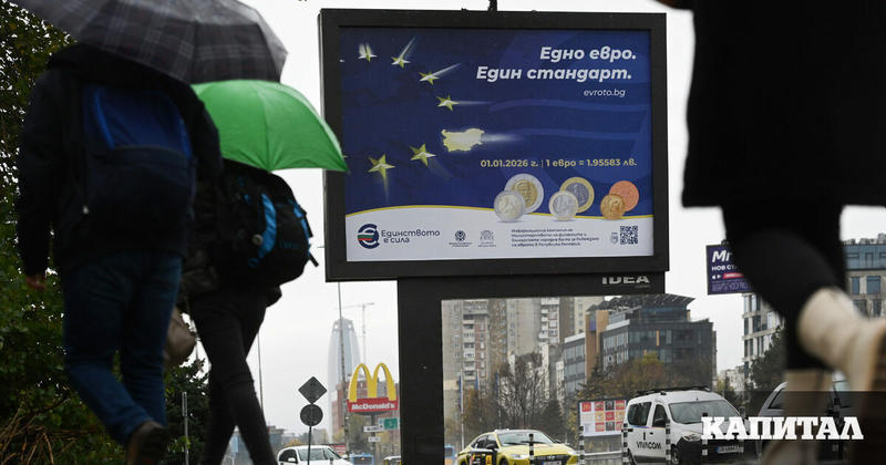 Анализ | Mакроикономически ефекти от въвеждането на еврото