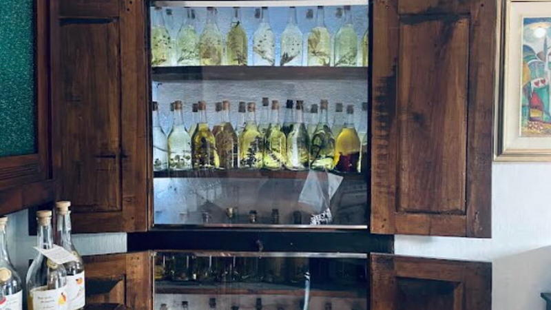 Civico 91. Romano Levi, il poetico grapat