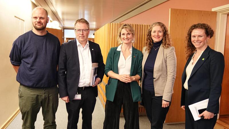 For en gjeng amatører