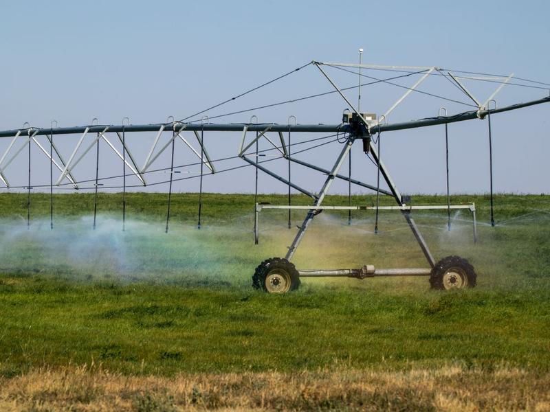 LETTERS: P.E.I. water governance, byelections, procurement and more LETTERS: P.E.I. water governance, byelections, procurement and more