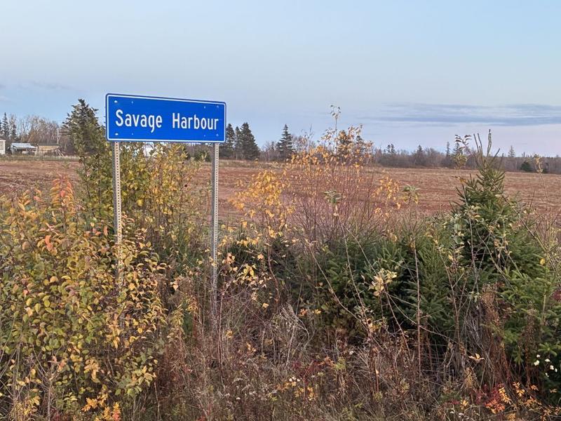 JOCELYNE LLOYD: Danger Bay and other names suggested for P.E.I. location JOCELYNE LLOYD: Danger Bay and other names suggested for P.E.I. location