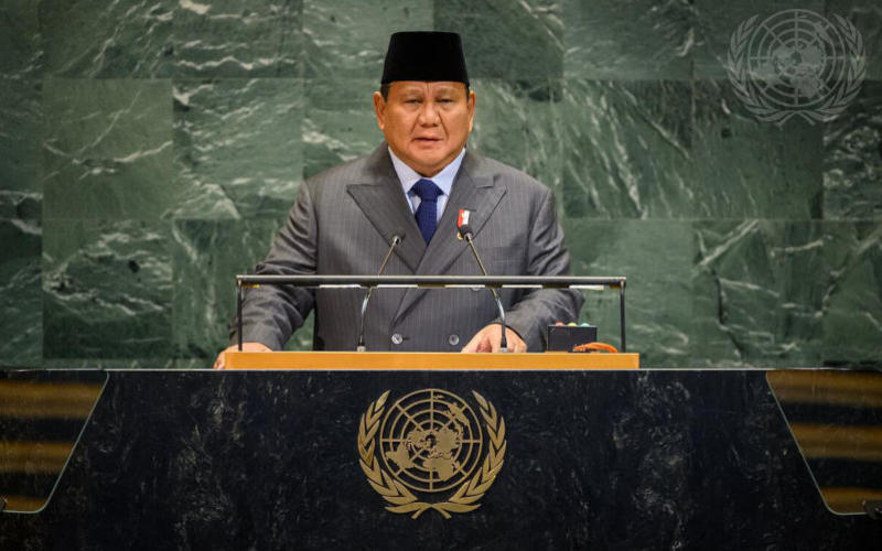 Indonesia’s Gaza peacekeeping bid raises more questions than answers