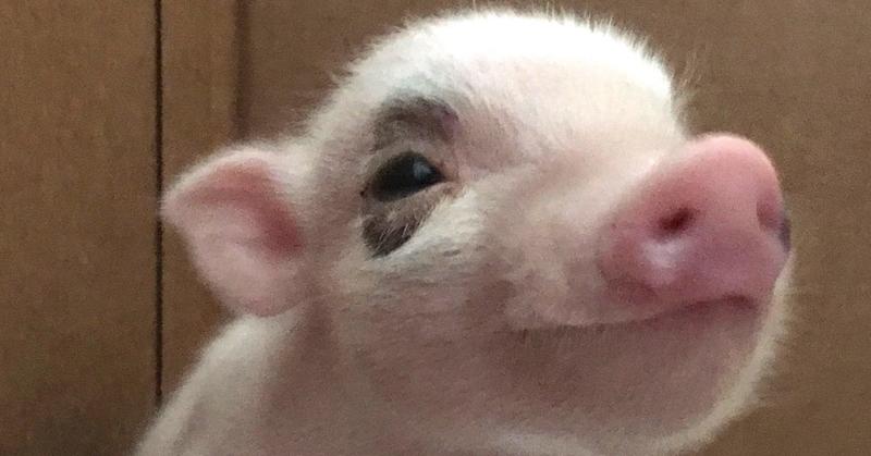 How Chronic Pain Became My Motivation for Good