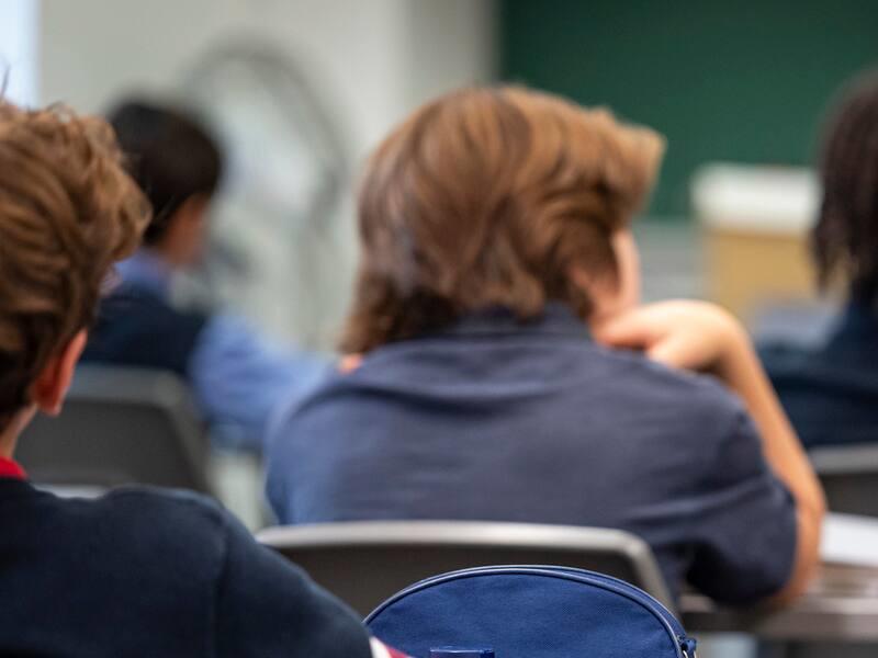 PL 3: faire taire ceux qui voient les dégâts