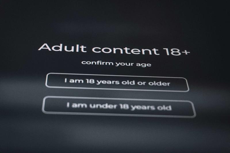 Lawmakers To Consider 19 Bills for Childproofing the Internet