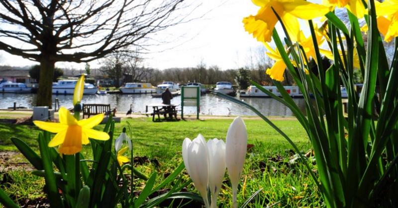 Norfolk to be among top staycation spots next spring Norfolk to be among top staycation spots next spring