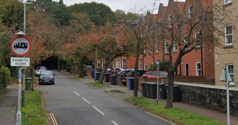 Eight trees in residential street face the chop after experts raise safety concerns Eight trees in residential street face the chop after experts raise safety concerns