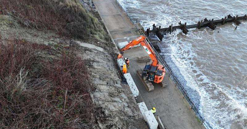 Eroding cliff stabilised after Japanese Knotweed removal Eroding cliff stabilised after Japanese Knotweed removal