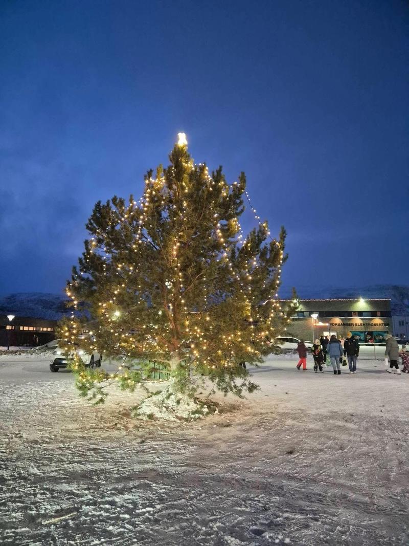 Ei furu som lyser i mørket – og har ei førjulsbod til oss
