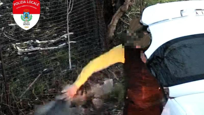 Abbandona pezzi di carrozzeria in strada: furbetto dei rifiuti incastrato dalle fototrappole. Maxi multa e auto sequestrata