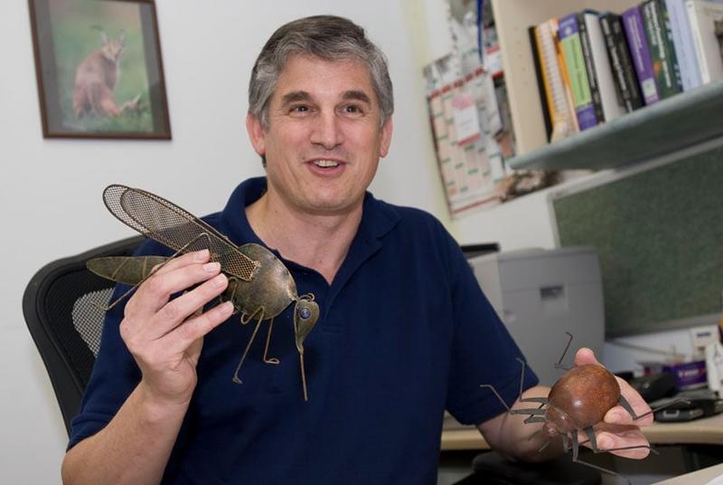 In breakthrough, Israeli scientists develop ‘all-in-one’ DNA test for leishmaniasis infection