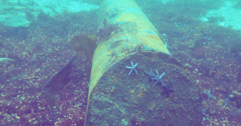 L’Allemagne part à la pêche aux bombes de la Baltique