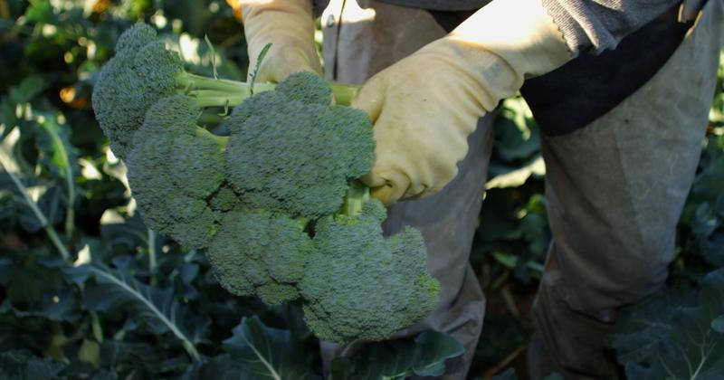 Guest column: Under the cover of darkness for safety