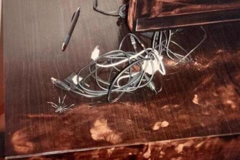 «Убитая девочка снилась по ночам»: новые детали убийства в московском пентхаусе