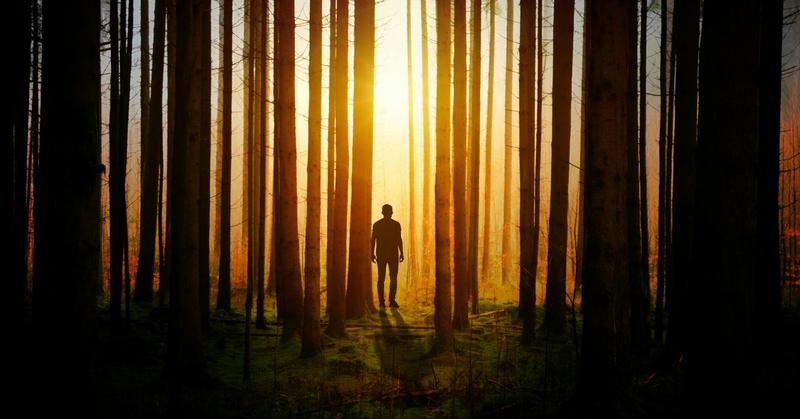 What Jung Got Right—and What He Mystified What Jung Got Right—and What He Mystified