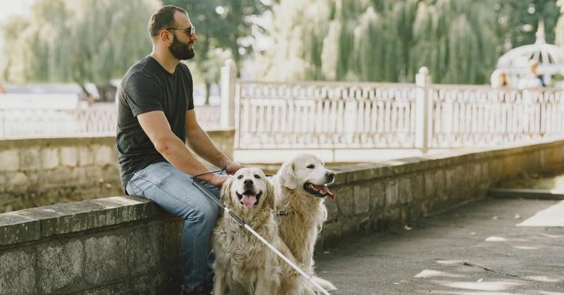 The Well-Being of Guide Dogs and Humans Who Care for Them The Well-Being of Guide Dogs and Humans Who Care for Them