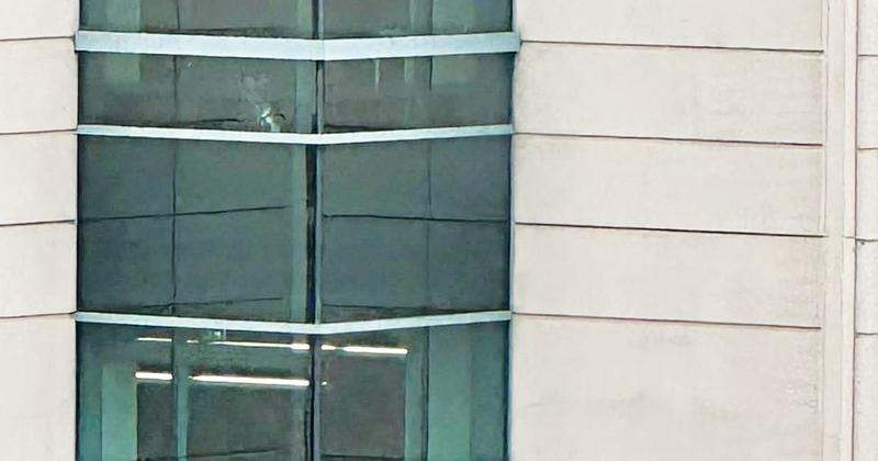 Doughnuts and Bullets: The Absurdity of Working for RFK Jr.