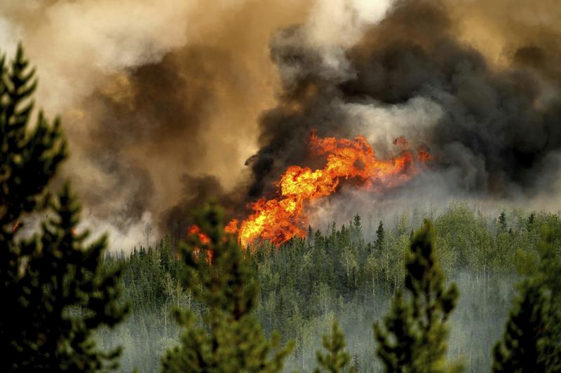 From earthquakes to wildfires, Canada is woefully ill-prepared for disasters