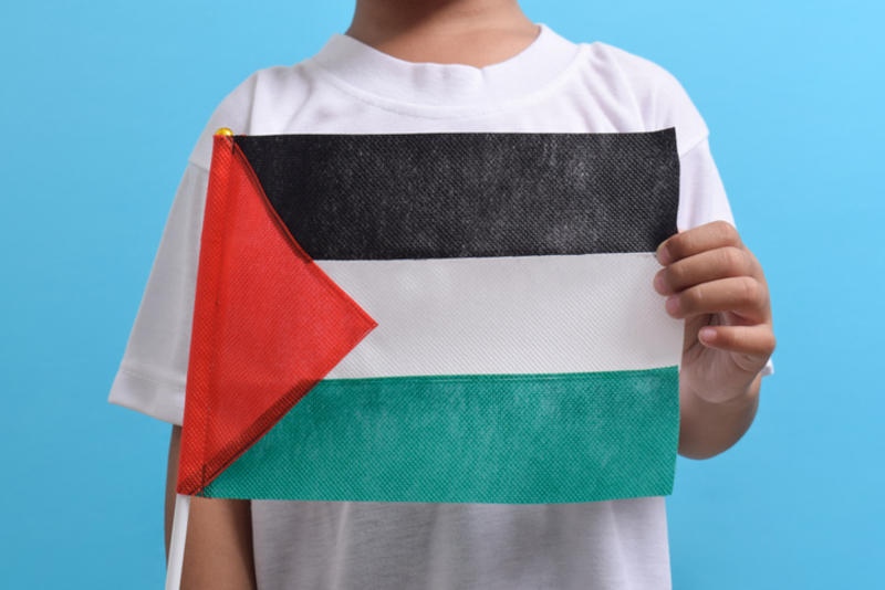 The politics of forgetting: Australia, Gaza and moral silence