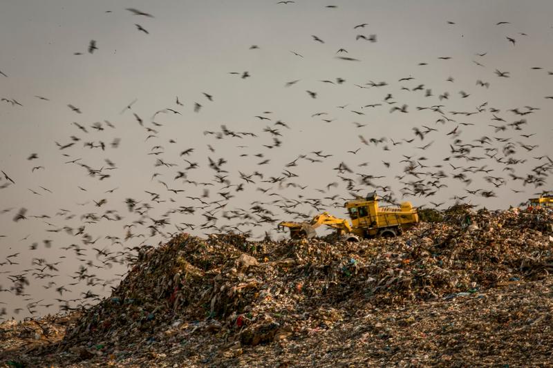 Drowning in garbage: Council heads warn waste sector facing ‘systematic collapse’