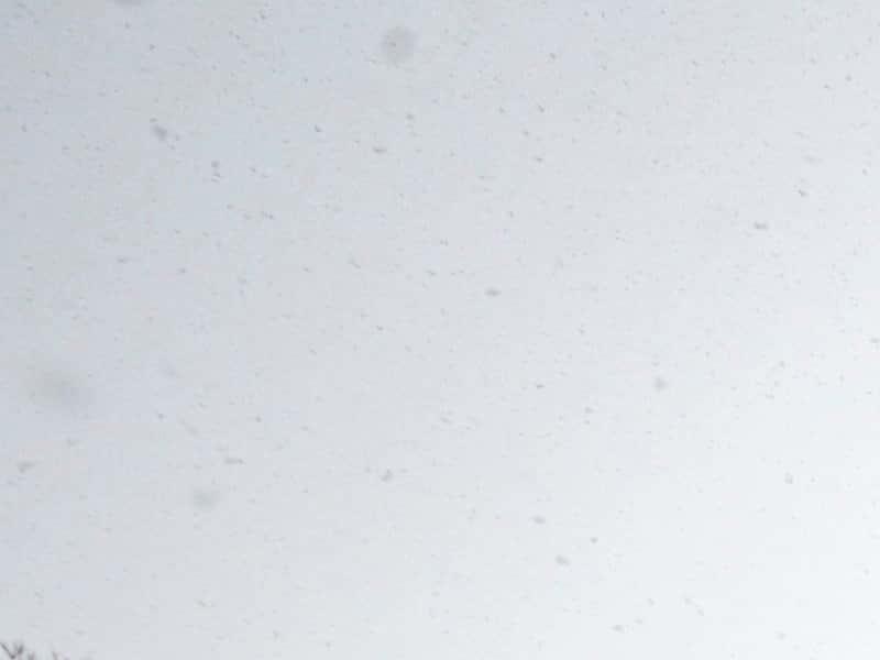 Bedford: le syndicat aurait dû s’indigner plus tôt